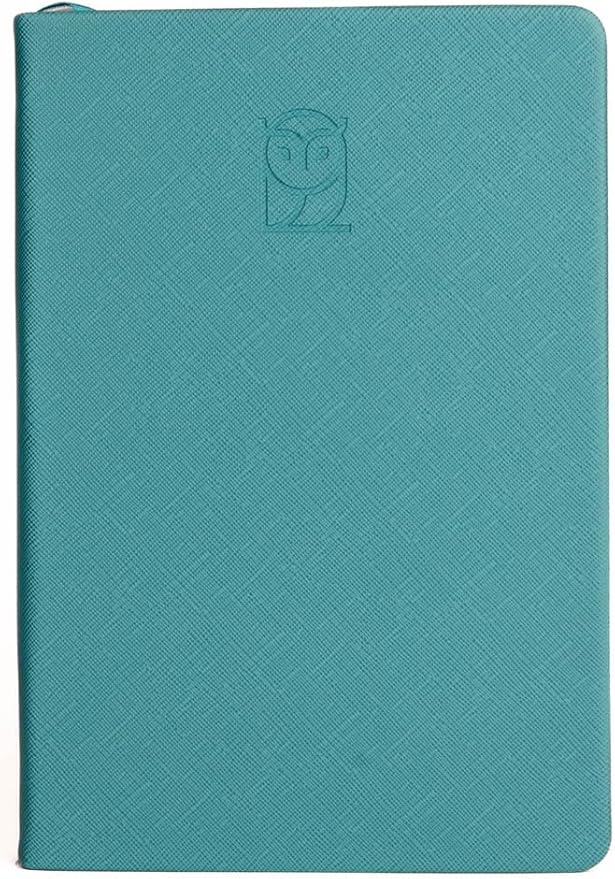 Undated Daily Planner – 6-Month A5 Productivity Organizer with Full Page Per Day, Hourly Schedule, Goal Setting, Habit Tracker, Weekly & Monthly Pages – Hardcover Time Management Notebook (Turquoise)