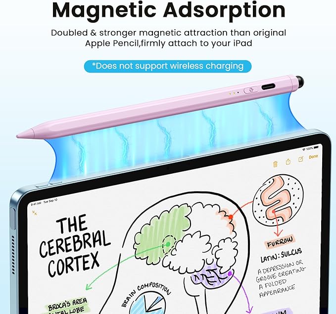 Stylus Pen for iPad(2025-2018),13 mins Fast Charge Pencil with Tilt Sensitivity and Palm Rejection for iPad A16/10/9/8/7/6,Air 13"/11"/M3/M2/5/4/3,Pro 11"/13"/12.9"/M4/M2/M1,Mini 7/6/5, Pink